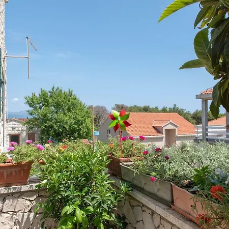 Appartement Koludrt *